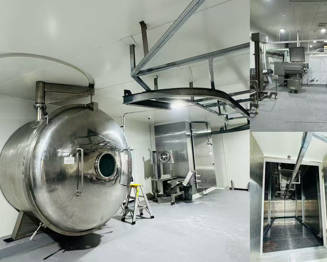 🐾 Our Fun Freeze-Dry Journey