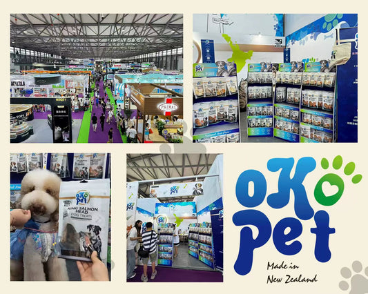 🎉🐾 OKO PET Shines at Asia Pet Fair!